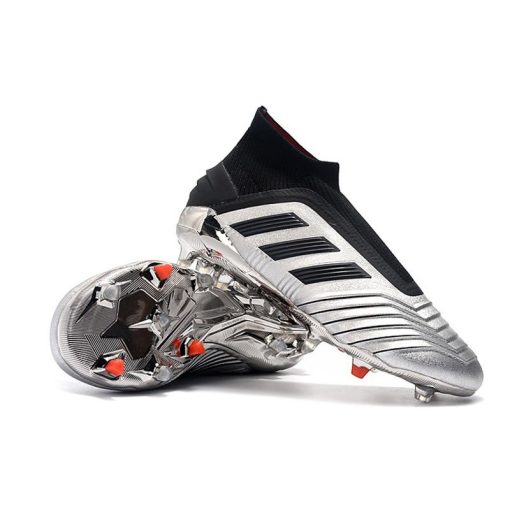Adidas Predator 19+ FG Schoenen - Zilver Zwart_7.jpg